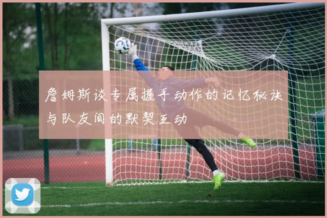 詹姆斯谈专属握手动作的记忆秘诀与队友间的默契互动